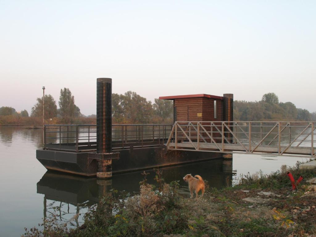 Agriturismo Corte Virgiliana 비르길리오 객실 사진